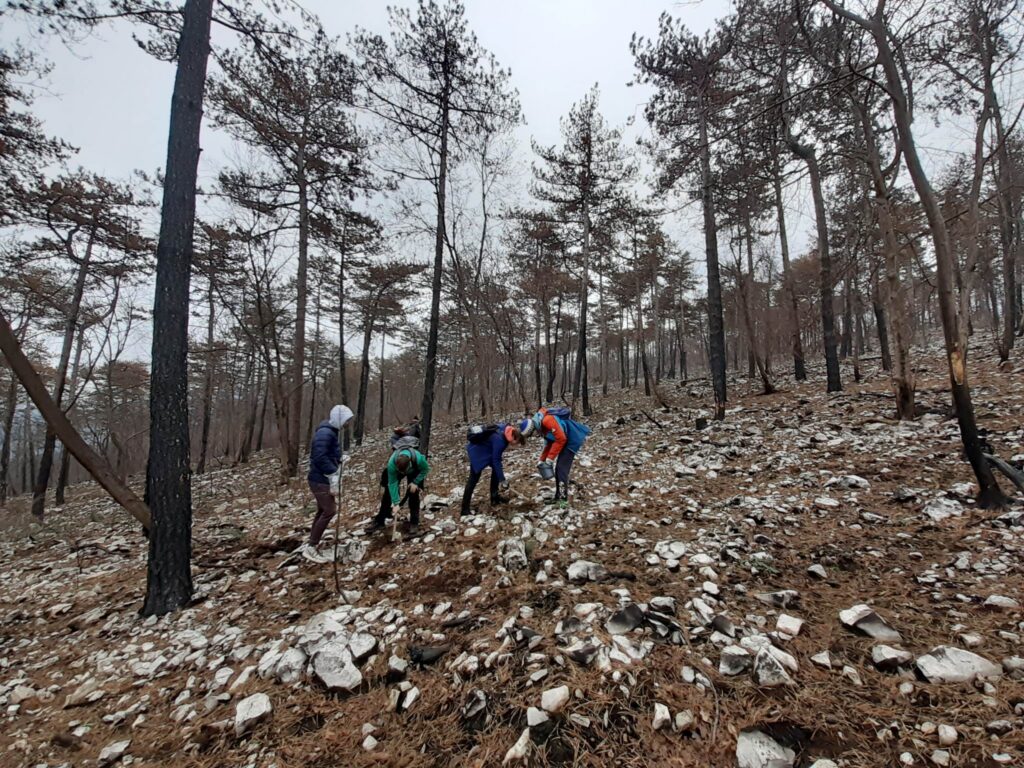 AKTIVNO DRŽAVLJANSTVO